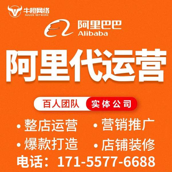 朝阳电商代运营