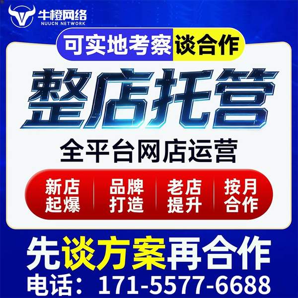 朝阳电商代运营