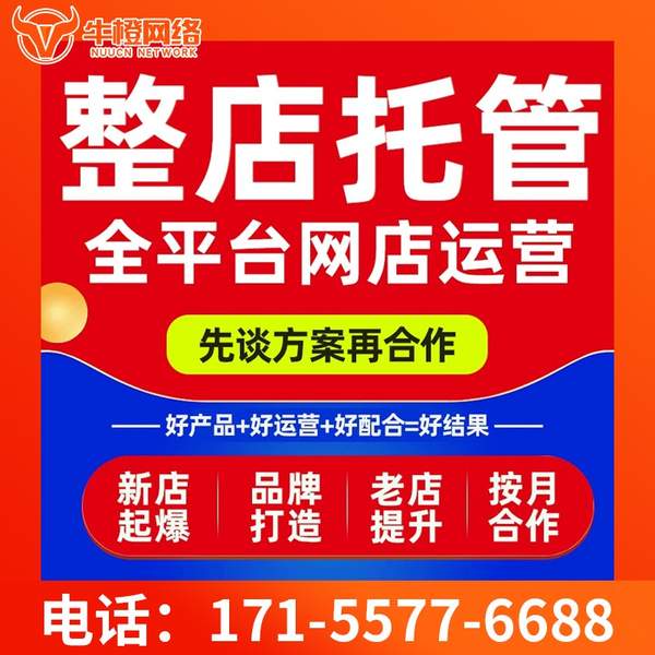 朝阳电商代运营