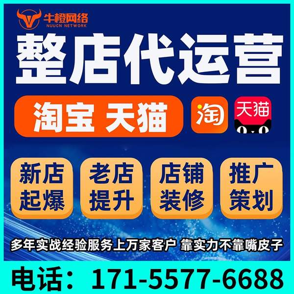 朝阳电商代运营