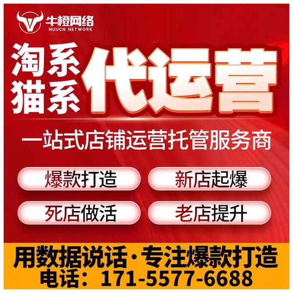 朝阳电商代运营